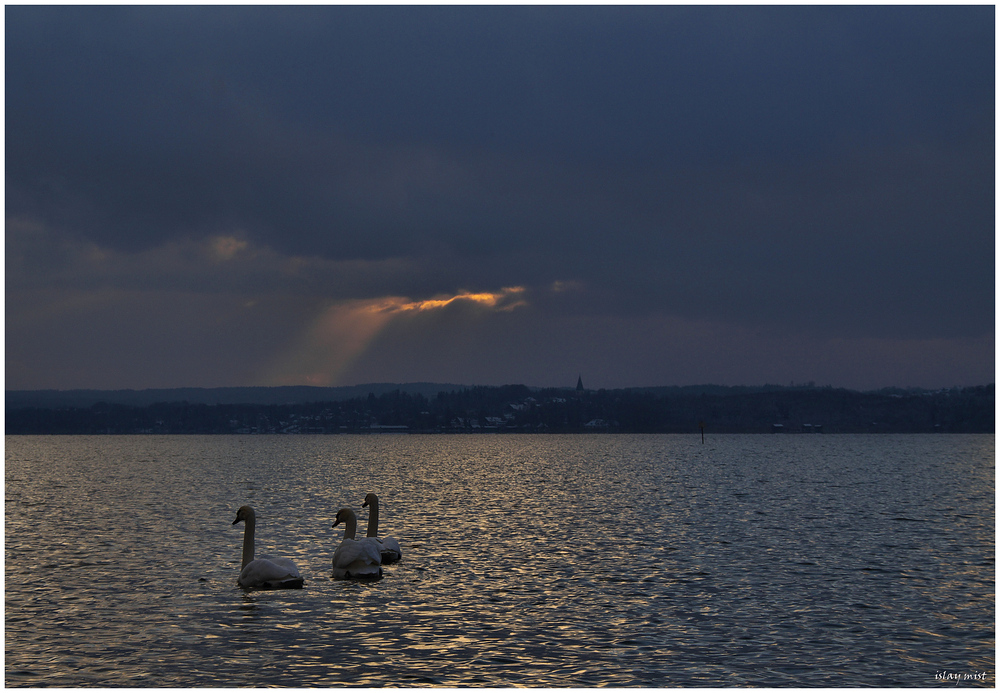 .....heute am See