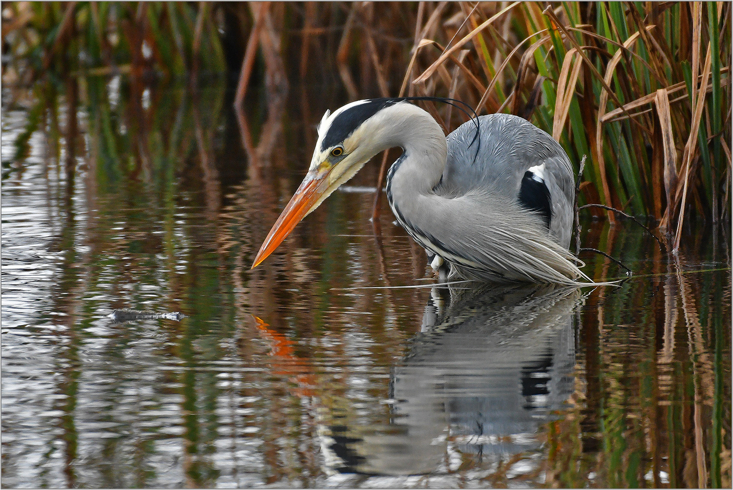 Heute am See   . . .