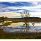 Heute am See