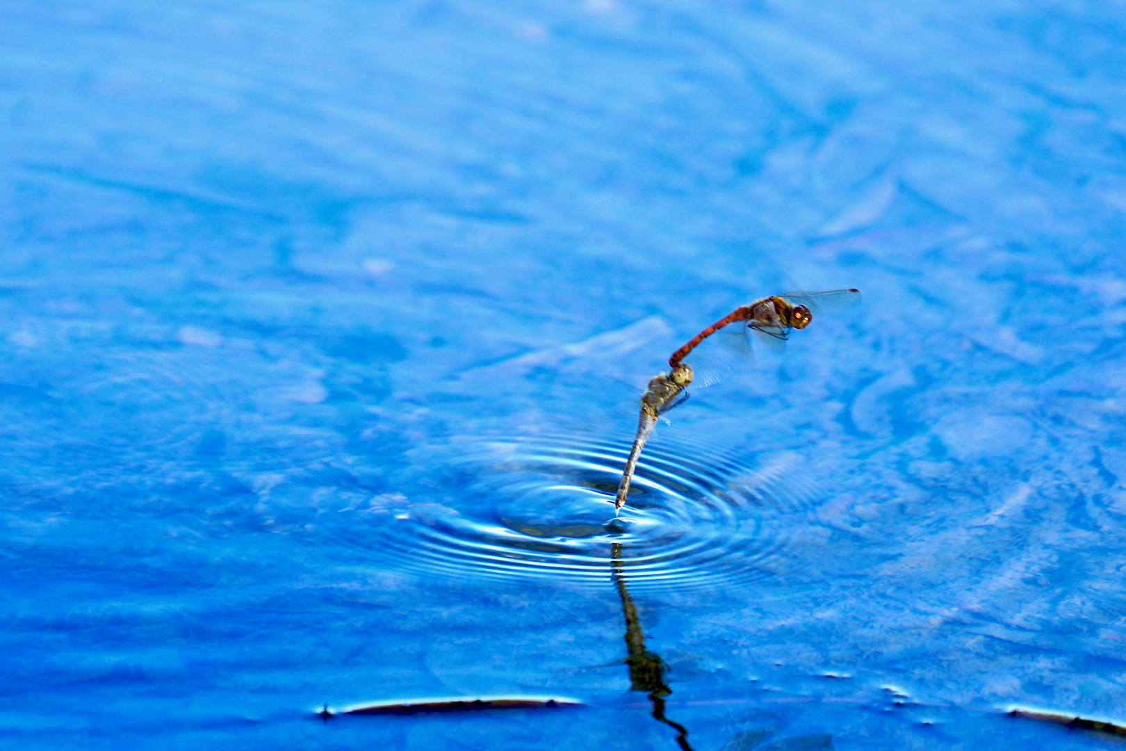 heute am See..