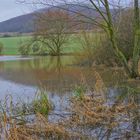 heute am See