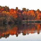 Heute am See