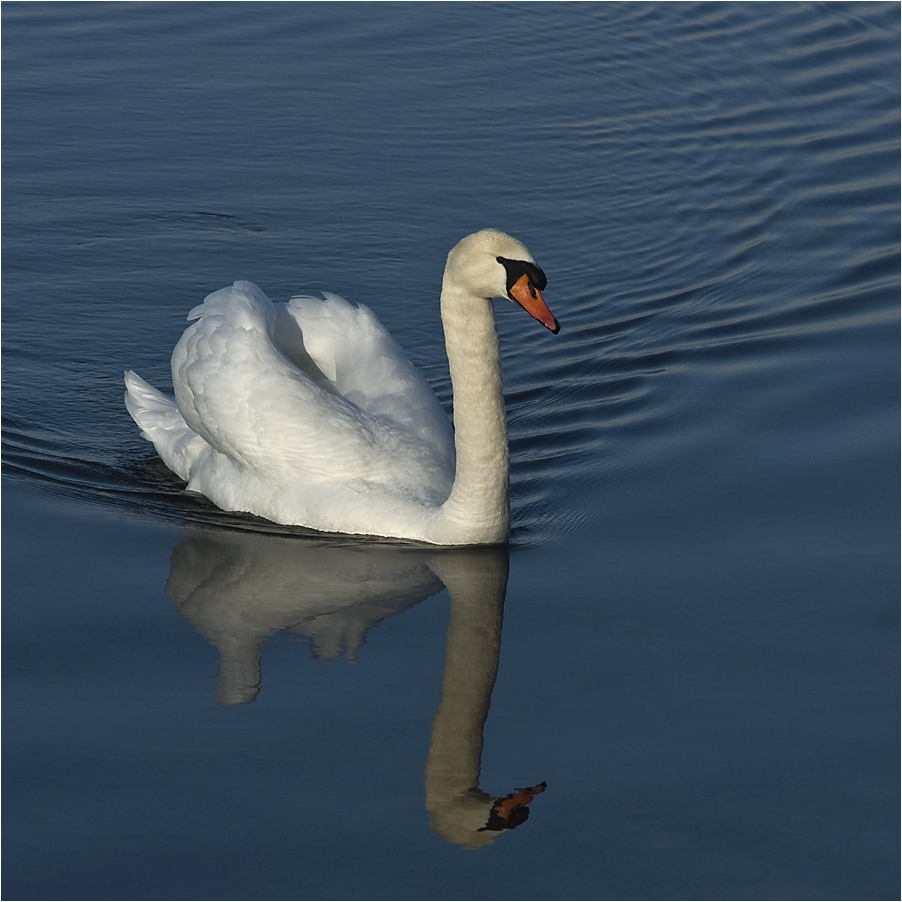 heute am See...