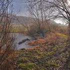 heute am See (hoy en el lago)