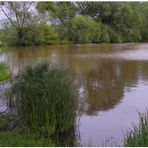 Heute am See (hoy en el lago)