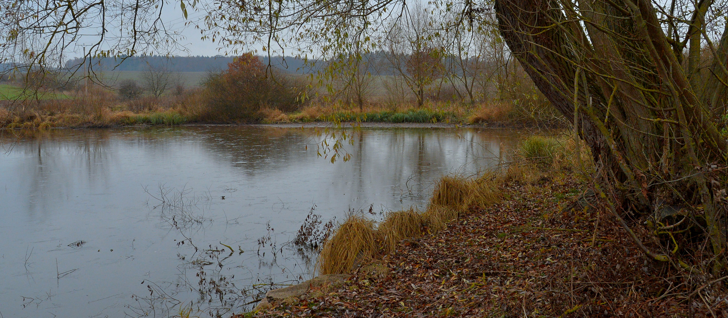 heute am See (hoy en el lago)