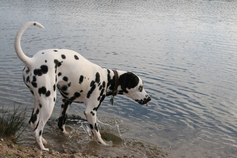 Heute am See, schon fast Badewetter!