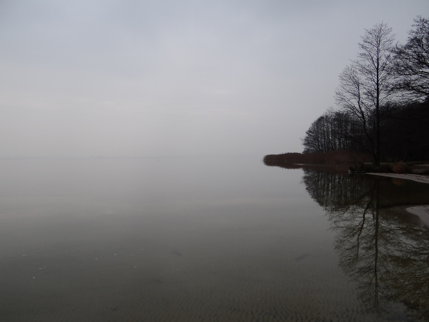 Heute am Steinhuder Meer