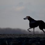 heute am Strand