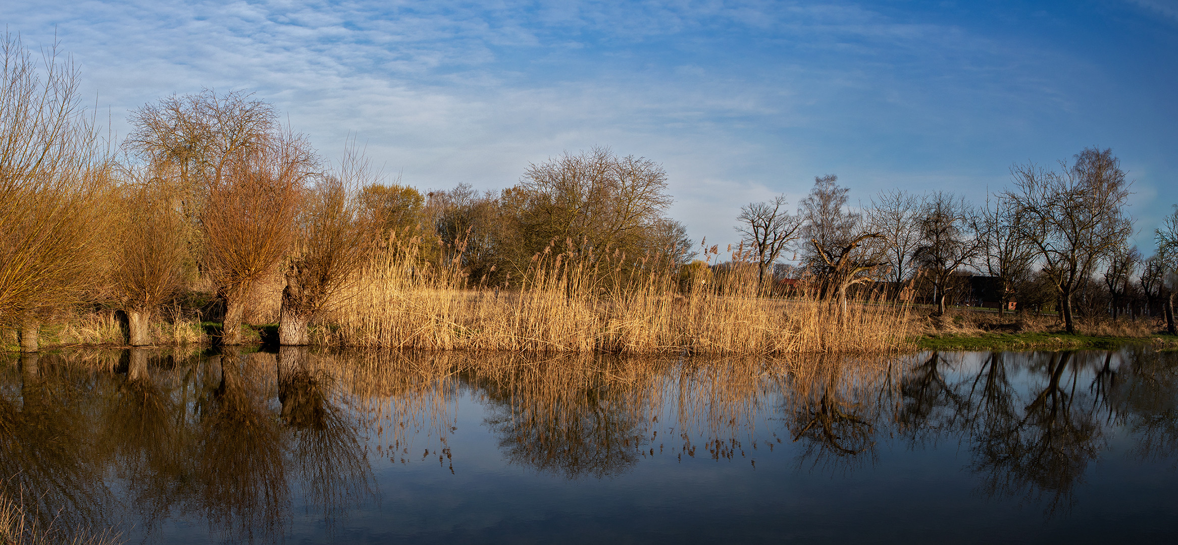 Heute am Teich