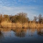 Heute am Teich