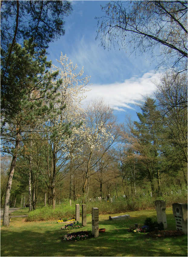 Heute am Waldfriedhof (1)