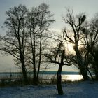 Heute am Wannsee