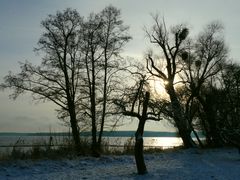 Heute am Wannsee