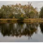 Heute am Weiher im Gildehauser Venn