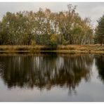 Heute am Weiher im Gildehauser Venn