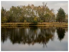 Heute am Weiher im Gildehauser Venn