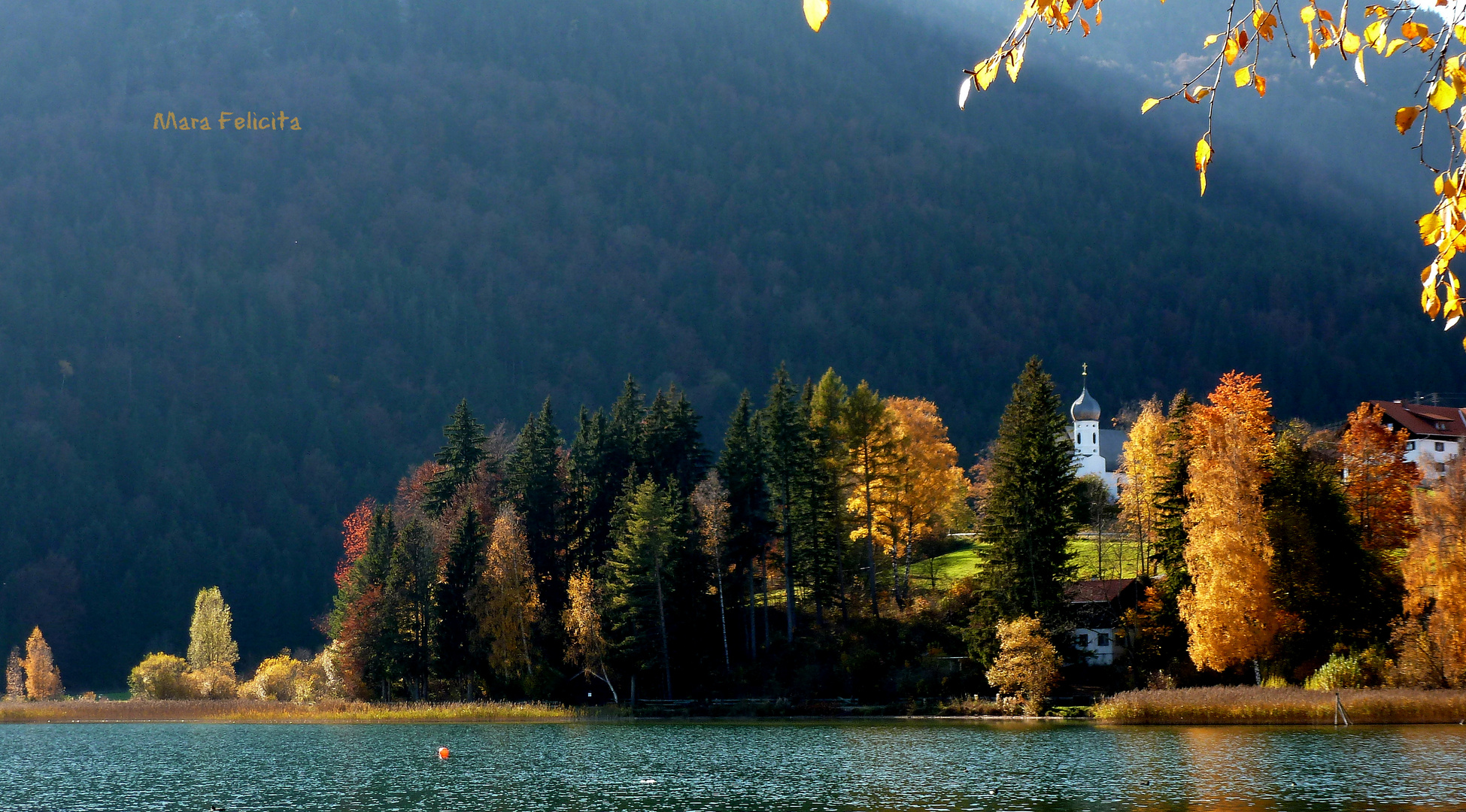 Heute am Weissensee.......goldener Herbsttag......