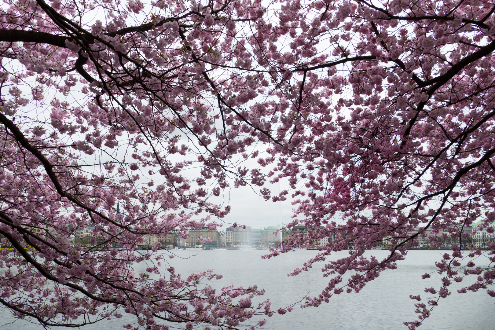 heute an der Alster