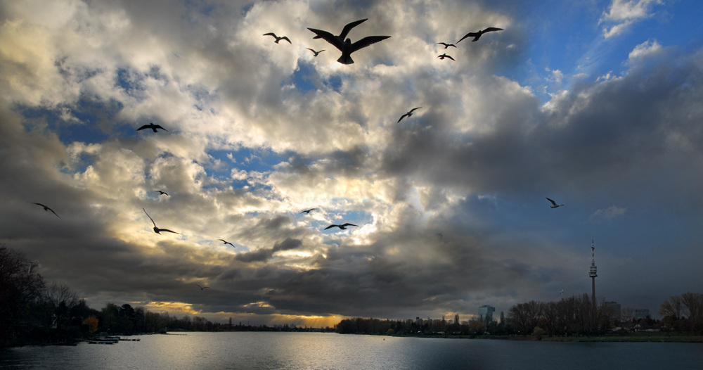 Heute an der Alte Donau