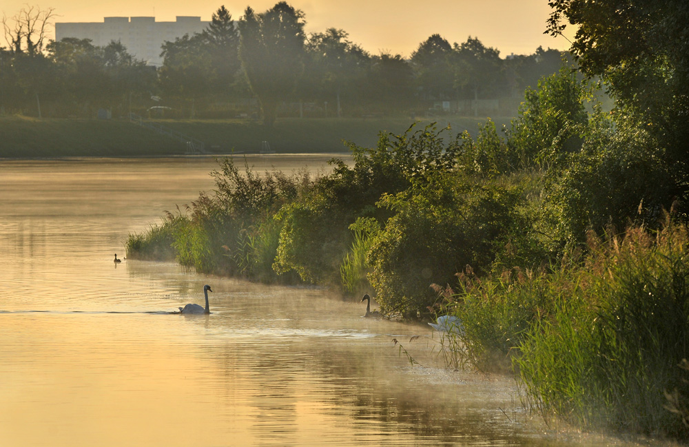 Heute an der Alte Donau2