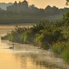 Heute an der Alte Donau2