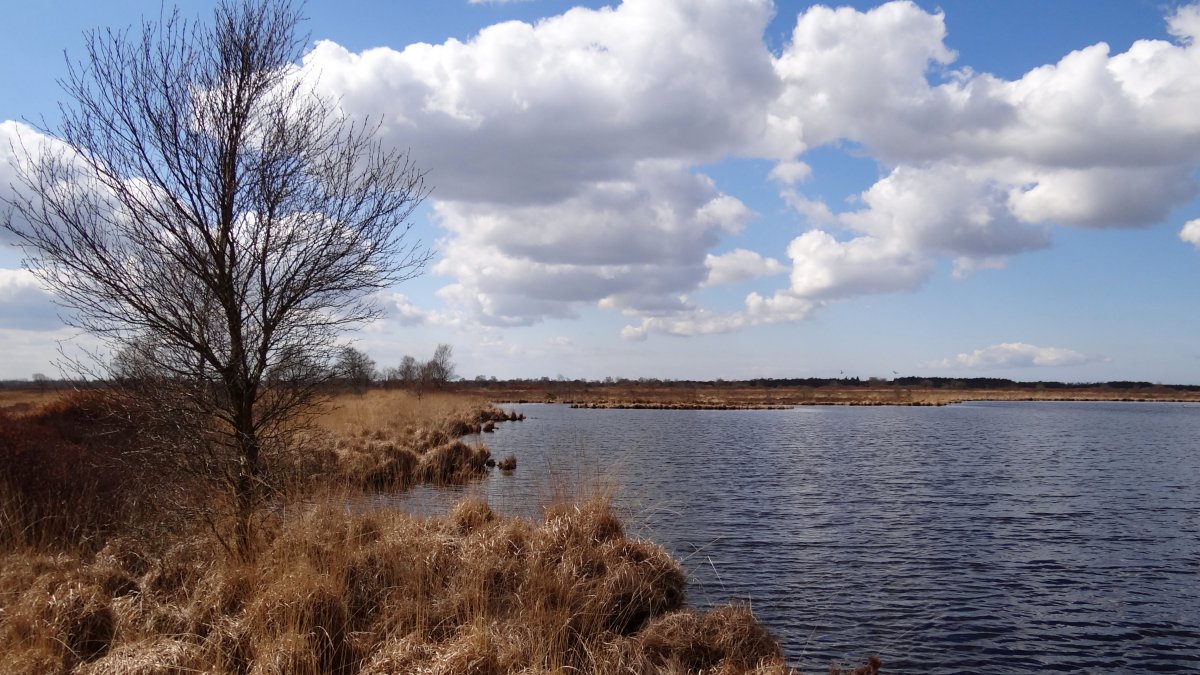 Heute an der Dobbe...... Foto & Bild landschaft, bach, fluss & see