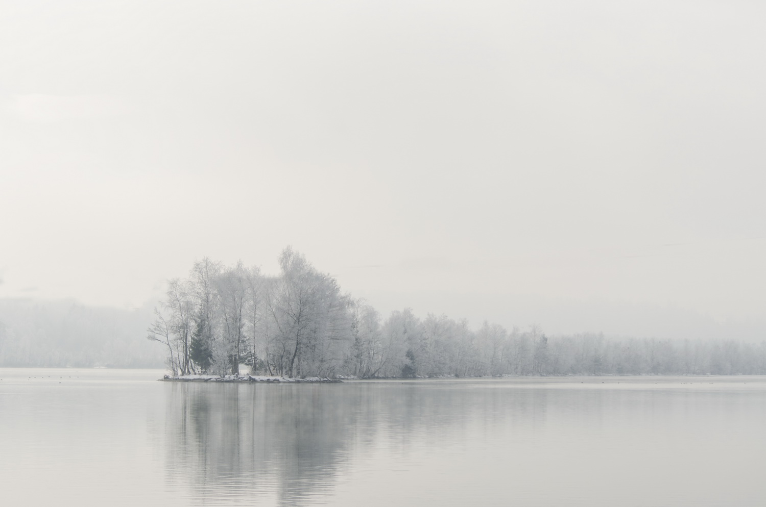 Heute an der Drau