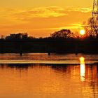 Heute an der Elbe