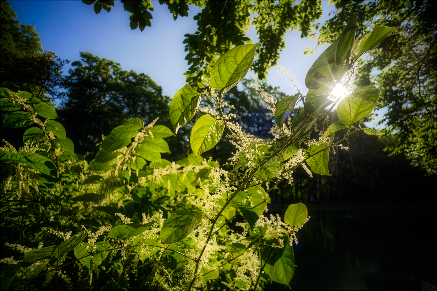 Heute an der Isar