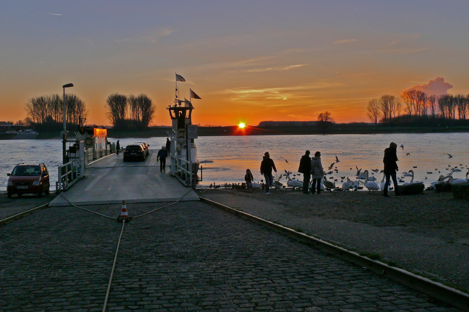 Heute an der Rheinfähre in Leverkusen-Hitdorf