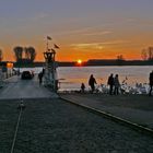 Heute an der Rheinfähre in Leverkusen-Hitdorf