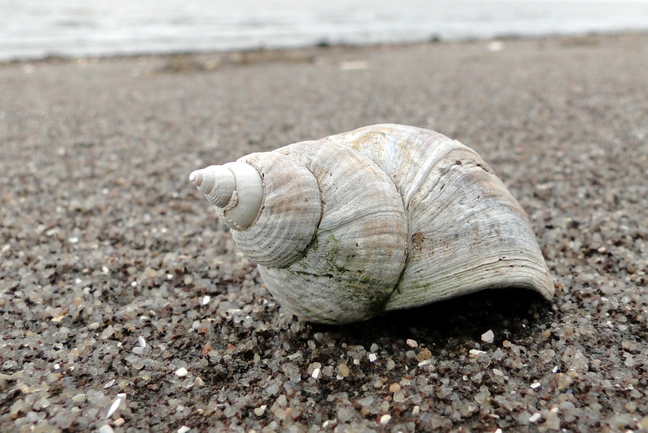 Heute an einem einsamen Strand