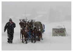 Heute auf 1800 m.ü.M.