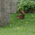 Heute, auf dem alten Friedhof