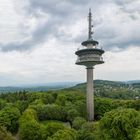 Heute auf dem Atzelberg in Eppenhein