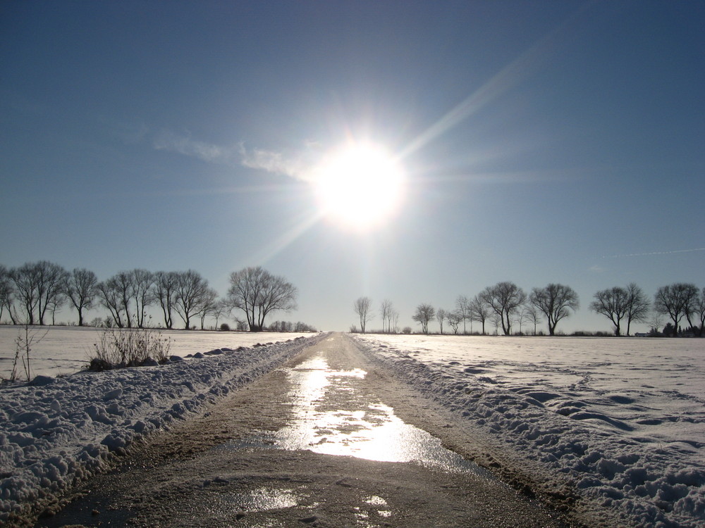 Heute auf dem Feld