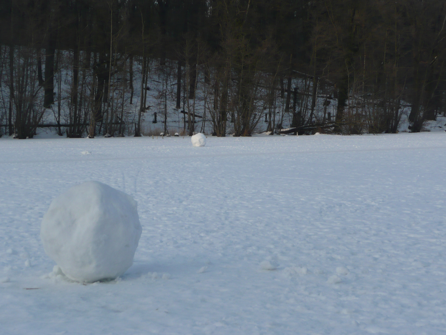 Heute - auf dem Schlachtensee