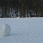 Heute - auf dem Schlachtensee