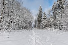 heute auf den Hoherodskopf