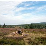 Heute auf der Hochheide