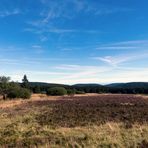 Heute auf der Hochheide