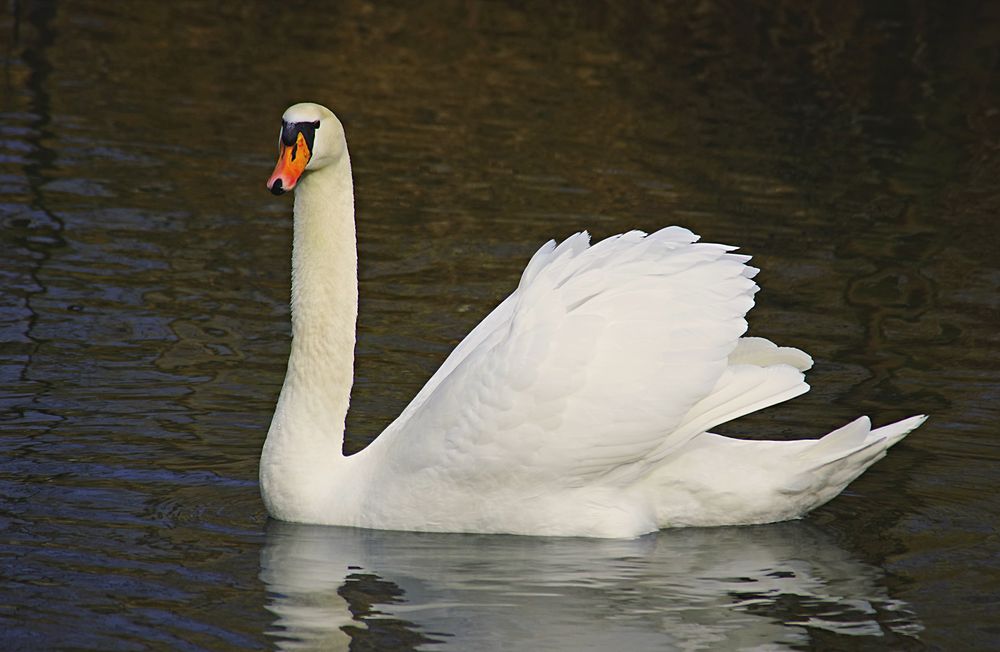 Heute auf der Ruhr