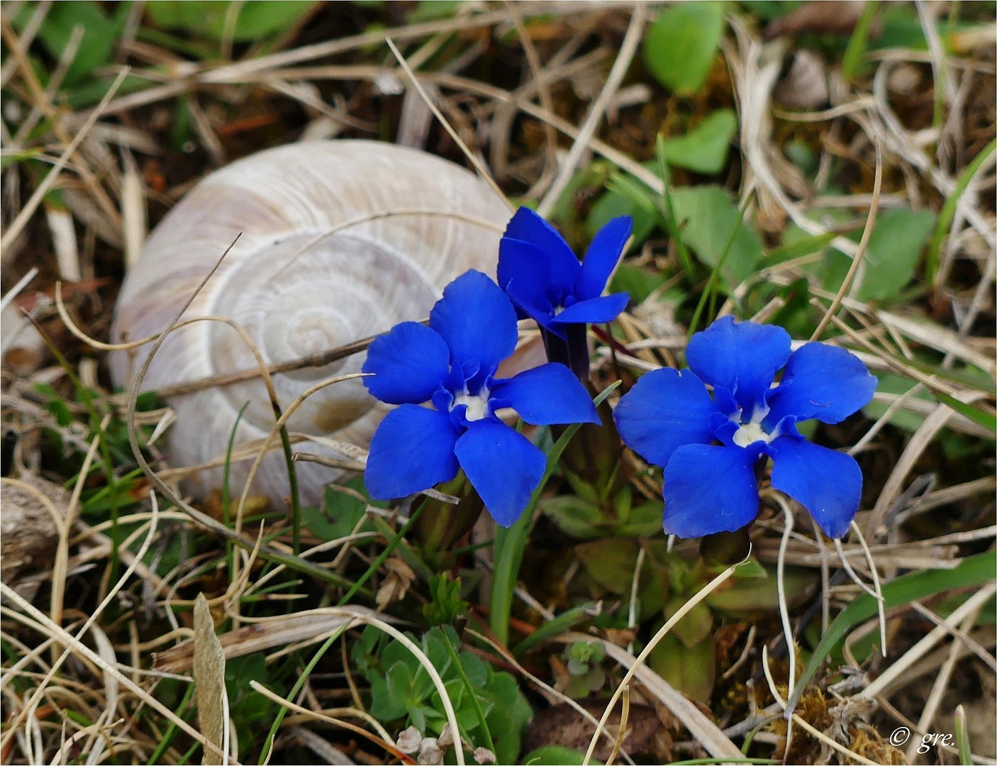 Heute auf der Wacholderheide