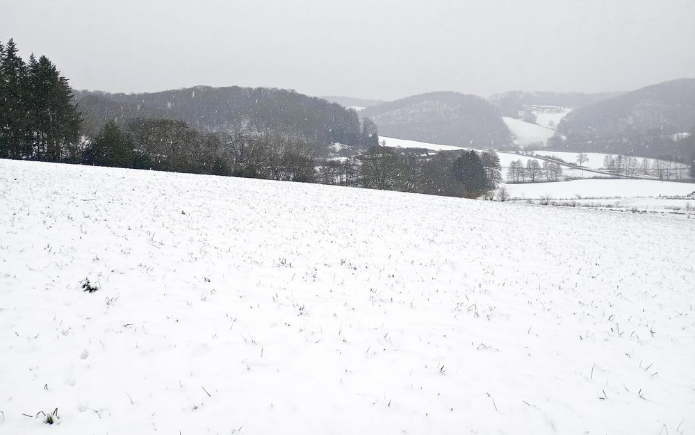 Heute auf Winterwanderung