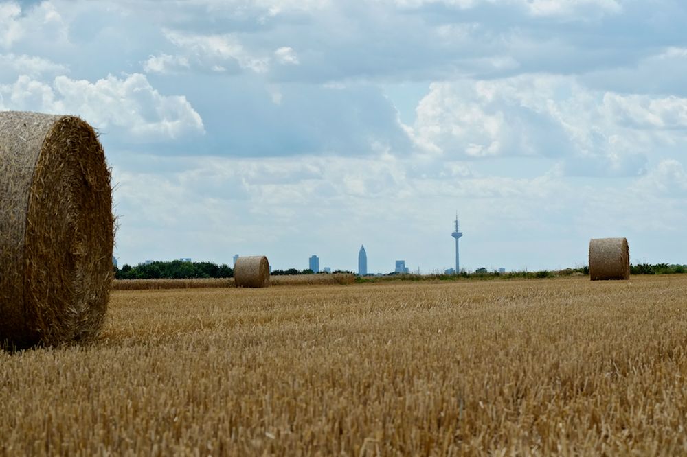 ... heute, außerhalb des Dorfes (am Horizont) ...