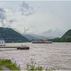 Heute bei Andernach am Rhein