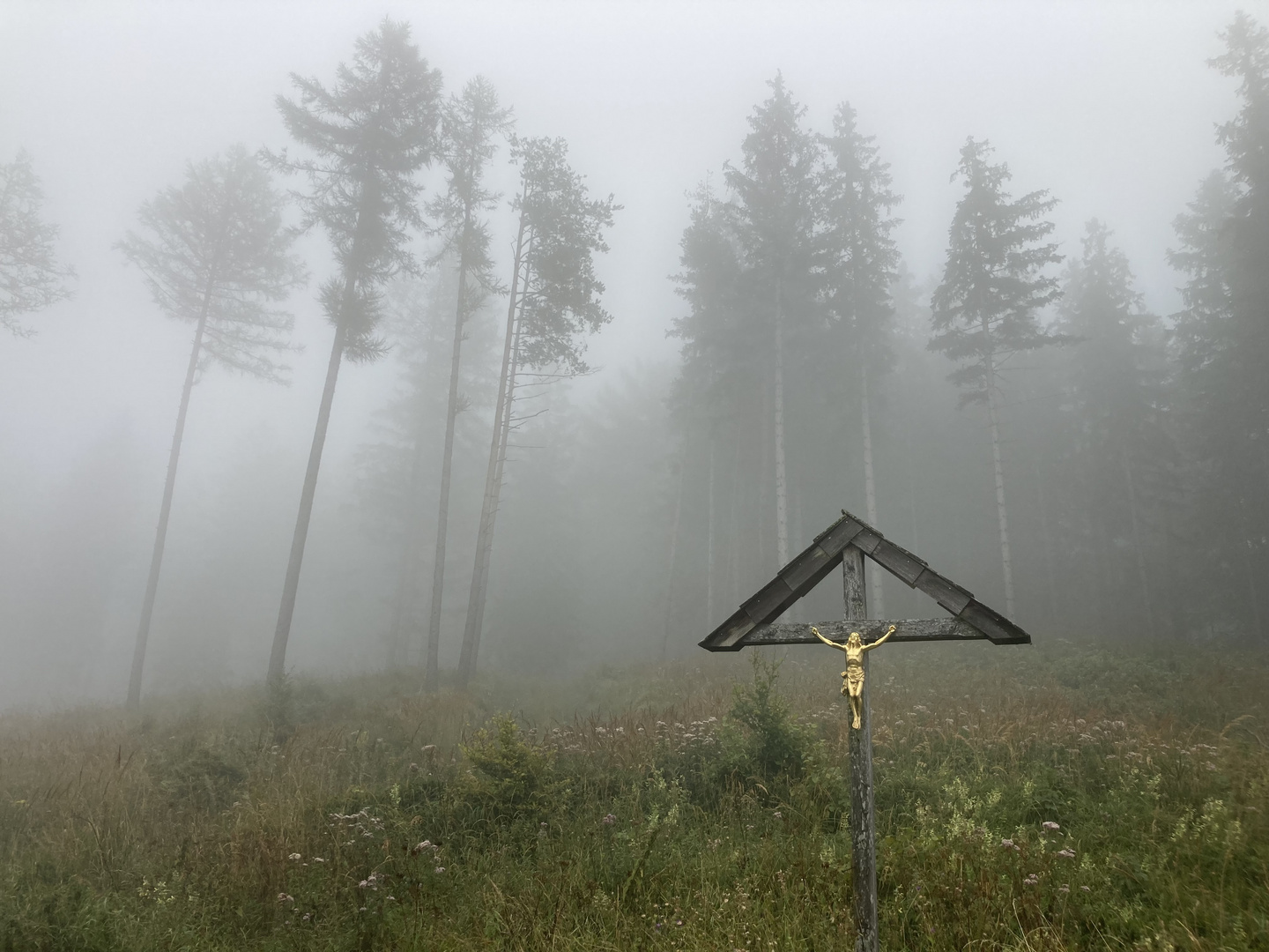 Heute bei der Montagshütte