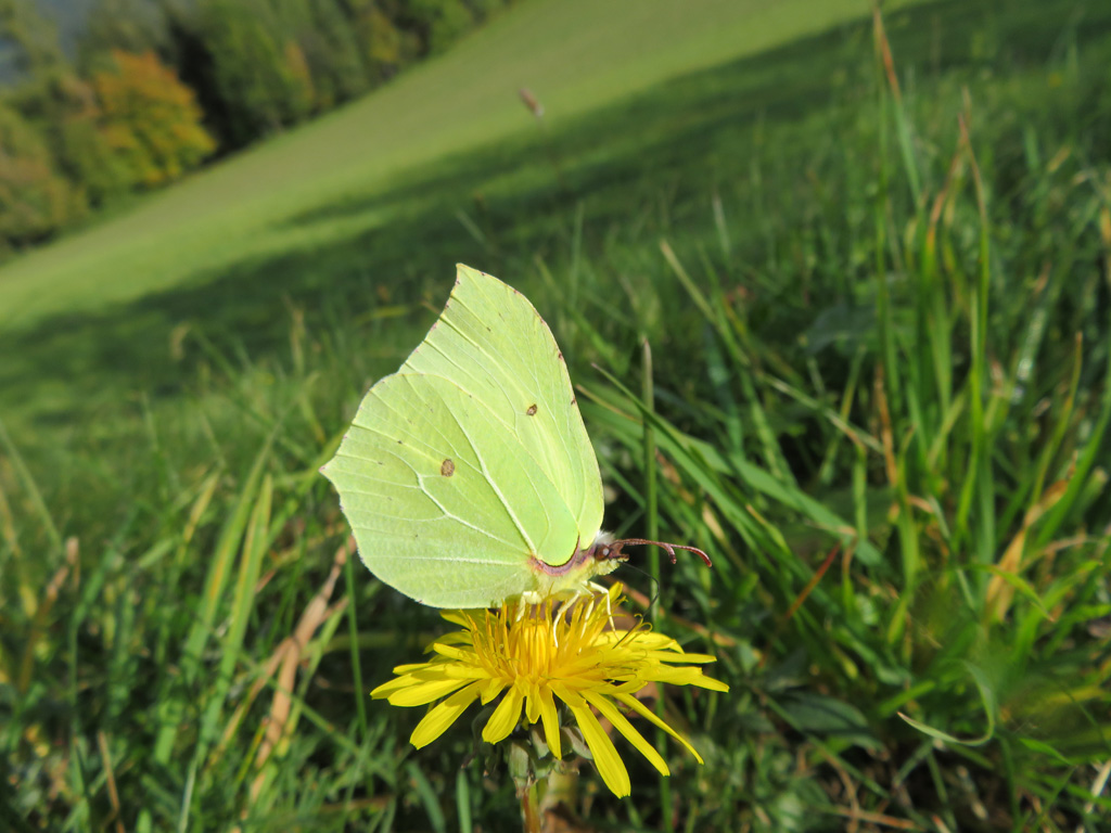  heute bei herrlichem Sonnenschein 