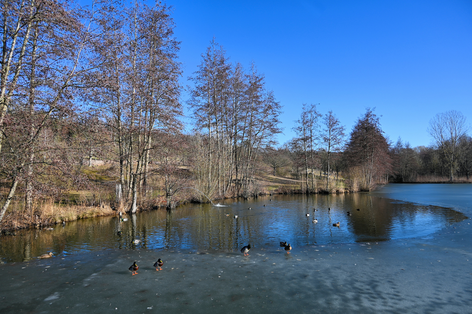 heute bei Kaiserwetter...